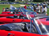 107-Alfa-Romeo-Concorso-Italiano