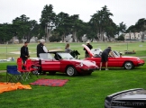 Alfa-Romeo-Concorso-Italiano-28