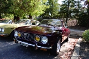 081-Alfa-Romeo-at-Cars-and-Coffee