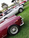 067-Alfa-Romeo-Concorso-Italiano