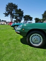 106-Alfa-Romeo-Concorso-Italiano