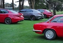 Alfa-Romeo-Concorso-Italiano-37